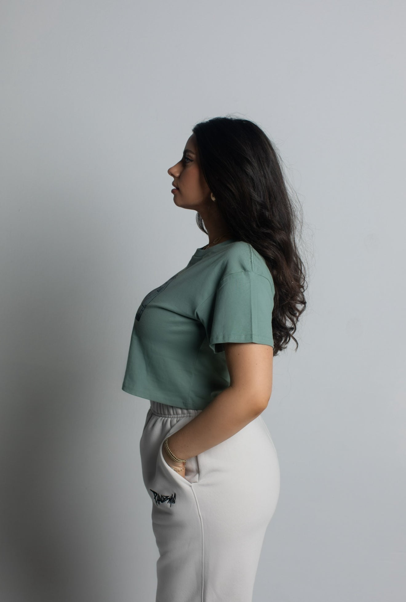 Vintage Cassette Crop Tee in Sage